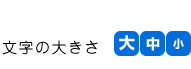 文字の大きさ